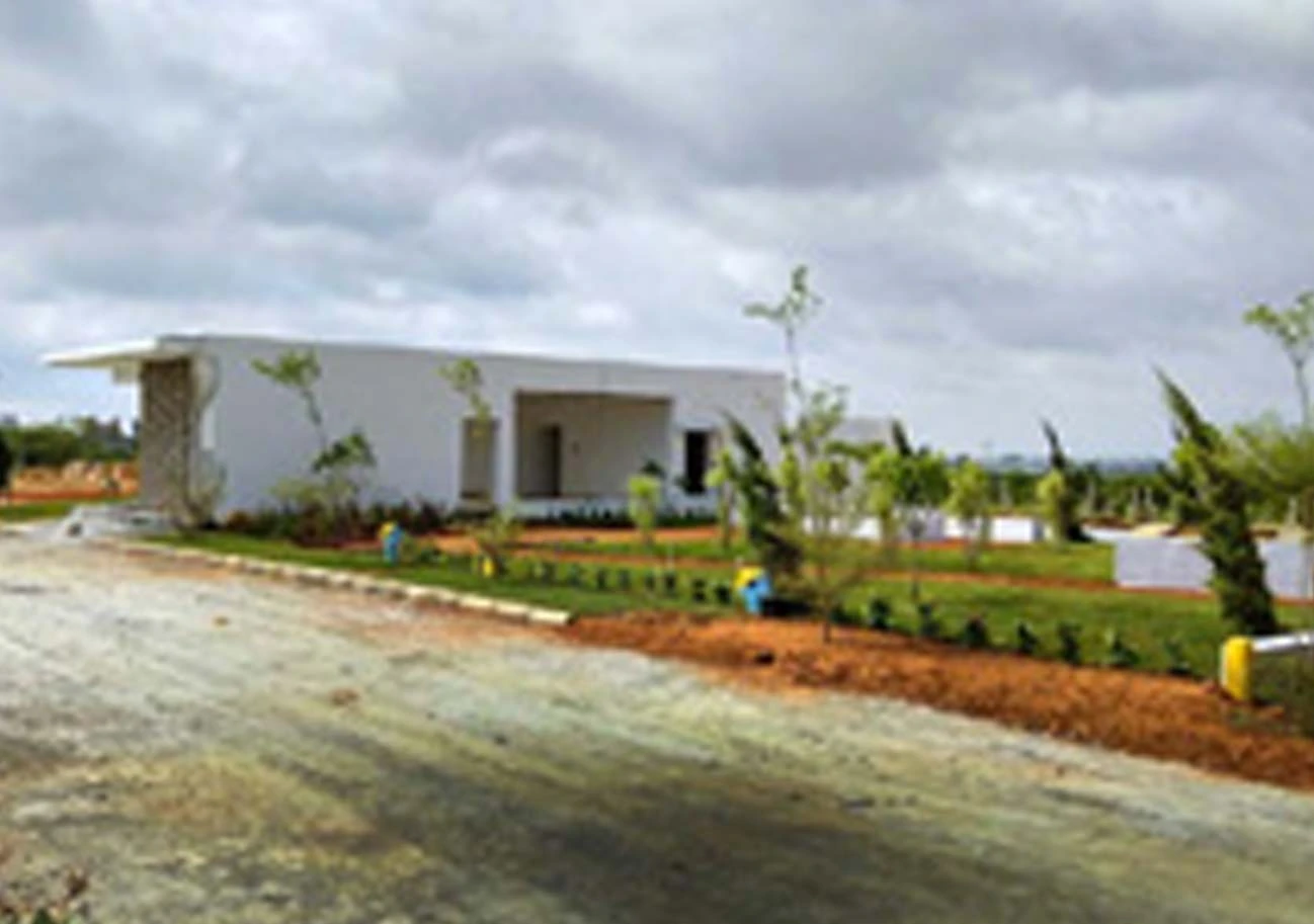 Ongoing Project